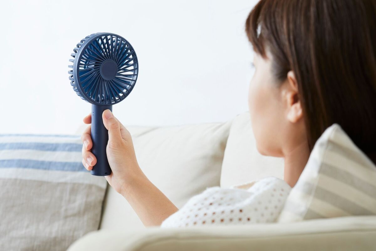 Handheld fan